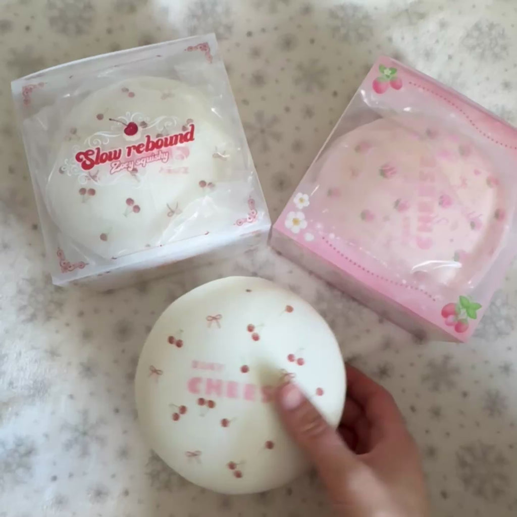 Zoey cheesecake squishy